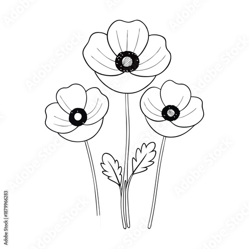 Bright spring poppies bloom with delicate petals and bold centers, dancing in warm sunlight and bringing fresh color, gentle charm, and joyful energy to gardens and fields.
