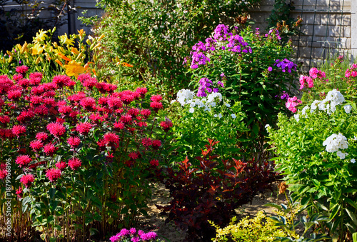 Pysznogłówka, liliowce i floksy wiechowate w ogrodzie, Monarda didyma, Hemerocallis, Phlox paniculata, ogród kwiatowy, ogród z kwitnącymi byliami, colorful flowerbed, flowers garden, flower perennial