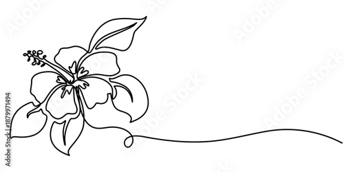 hibiscus continuous one line drawing, Hibiscus flower in one continuous line art drawing style. Minimalist black line sketch isolated on white background. Vector illustration. 