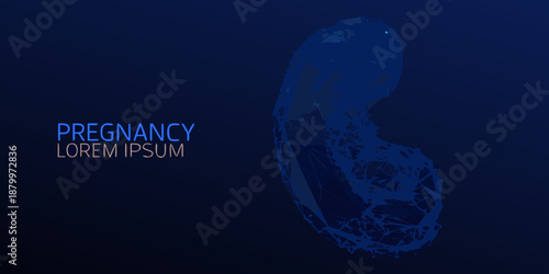 Abstract polygonal illustration of a fetus with pregnancy related text design