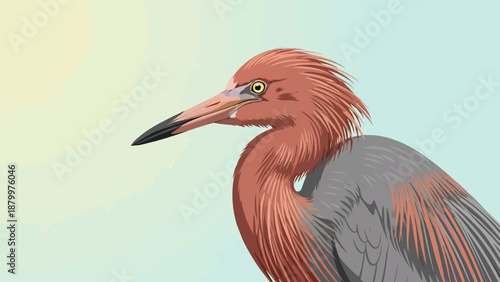 Close-up digital illustration of a reddish-brown bird with gray wings