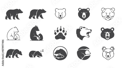 Collection of Bear Icons and Illustrations.