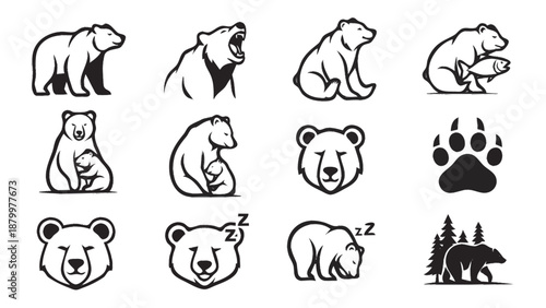 Collection of Bear Illustrations in Various Poses and Actions.