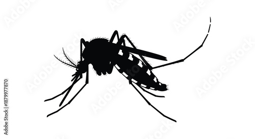 a detailed depiction of a mosquito in a stark black color showcasing its delicate features and form silhouette high quality professional