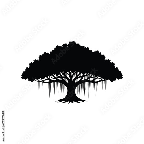 Majestic Banyan Tree Silhouette: A dramatic silhouette of a magnificent banyan tree, its sprawling roots and dense canopy against the light, evoking a sense of strength and age, mango tree