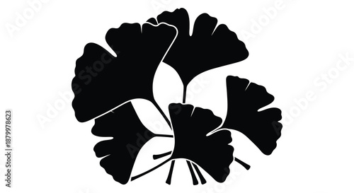 A striking depiction of ginkgo biloba leaves exhibiting a distinct and elegant form presented as a bold black silhouette high quality