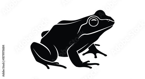 A striking depiction of a black frog in a poised naturalistic stance showcasing its form as a detailed silhouette high quality