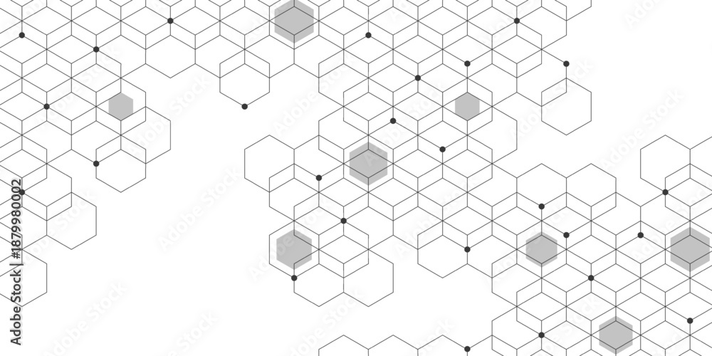 Fototapeta premium Abstract geometric with hexagon pattern and dots on white background. Vector