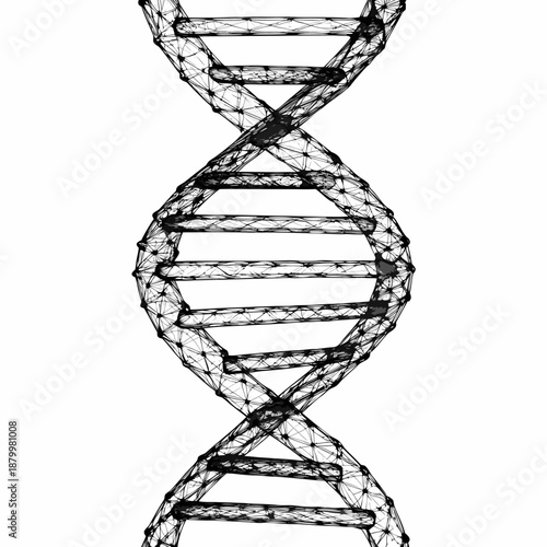 Detailed illustration of a dna double helix structure in black and white