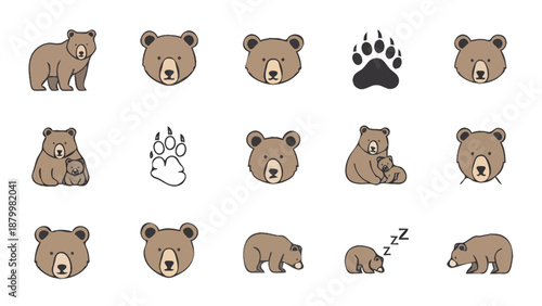 Collection of Cute Bear Illustrations and Paw Prints.