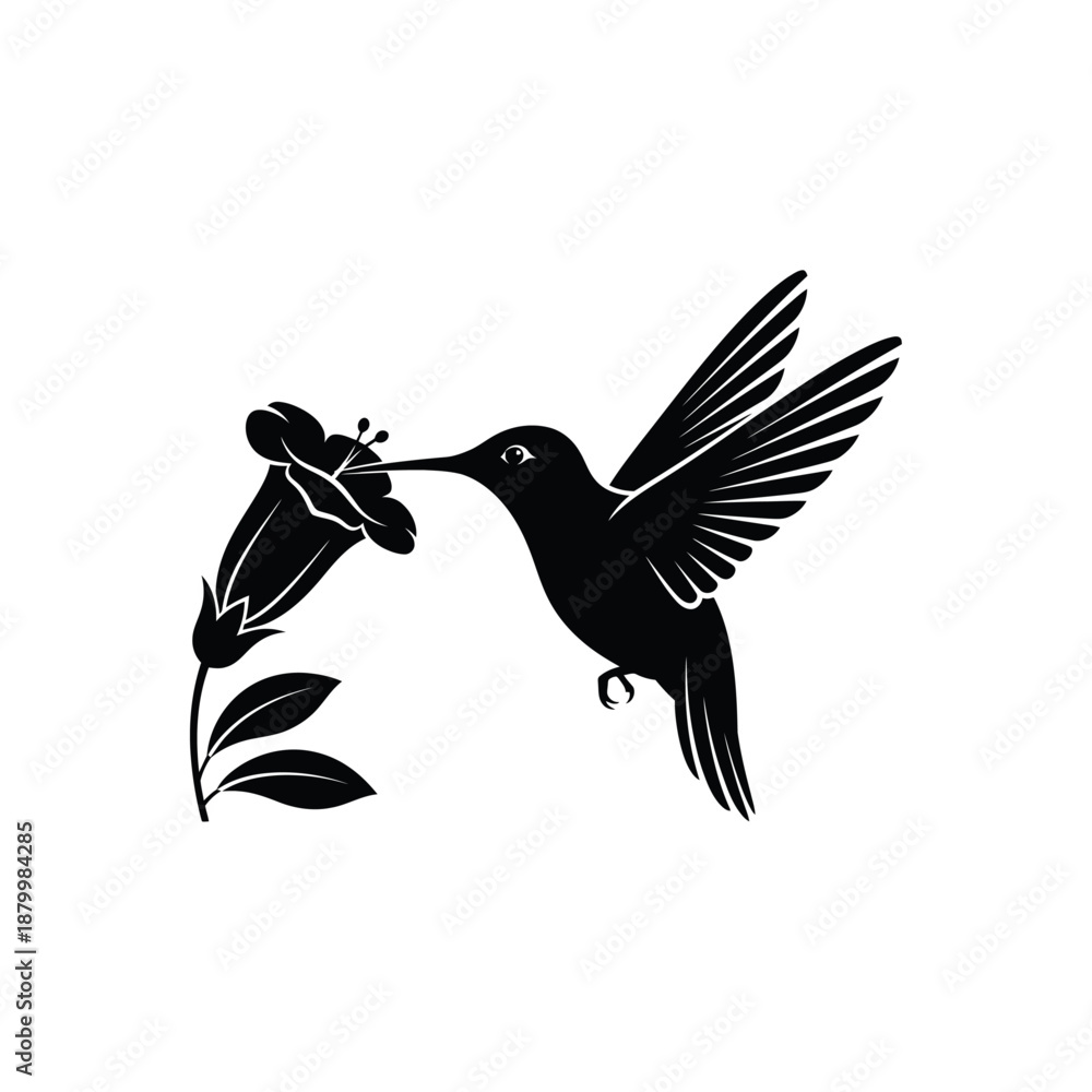 Obraz premium Hummingbird's Floral Embrace: A hummingbird, captured in mid-flight, delicately interacts with a vibrant flower. A symbol of nature's beauty and the interconnectedness of life.
