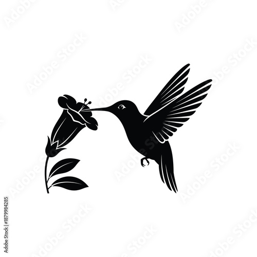 Hummingbird's Floral Embrace: A hummingbird, captured in mid-flight, delicately interacts with a vibrant flower. A symbol of nature's beauty and the interconnectedness of life.