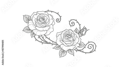 Elegant black and white illustration of two beautiful roses with swirling thorny stems in a classic tattoo or sketch style.