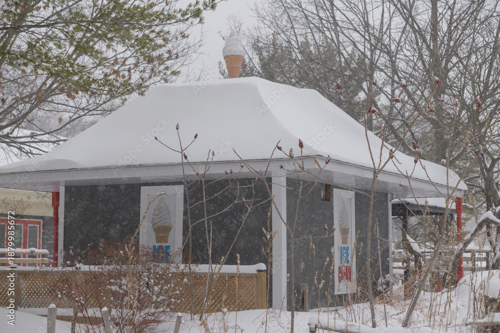 Fototapeta premium ice cream cabin near The Grenadier Cafe in High Park during a snow storm on 2026-01-15