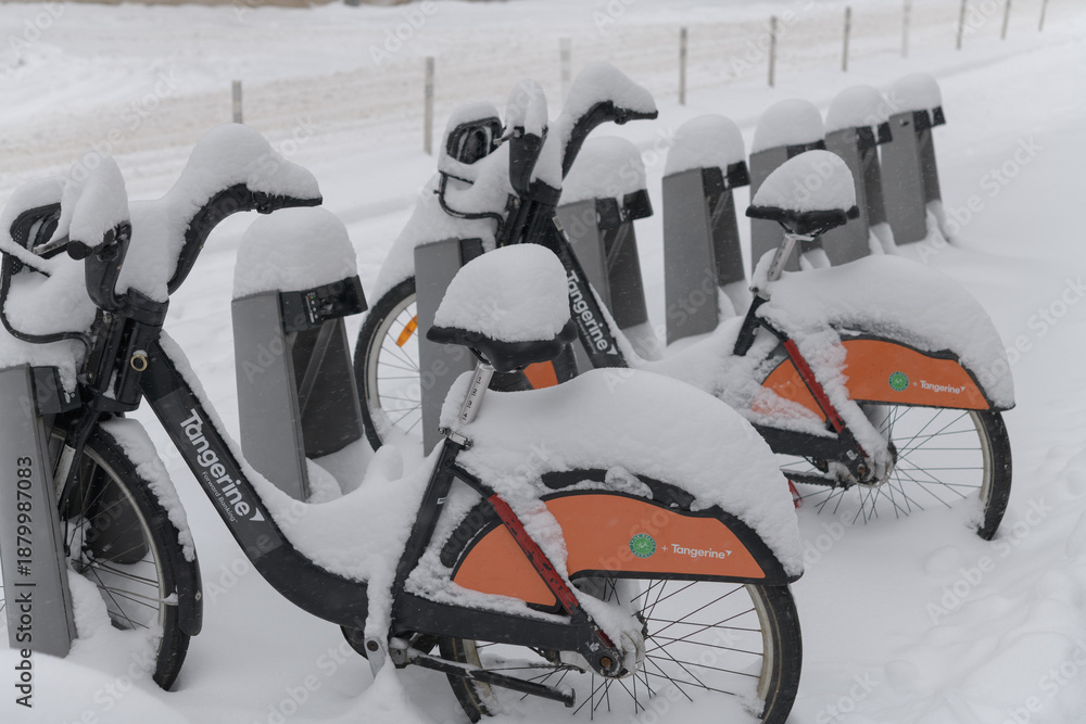 Obraz premium rental bikes covered in snow in Toronto