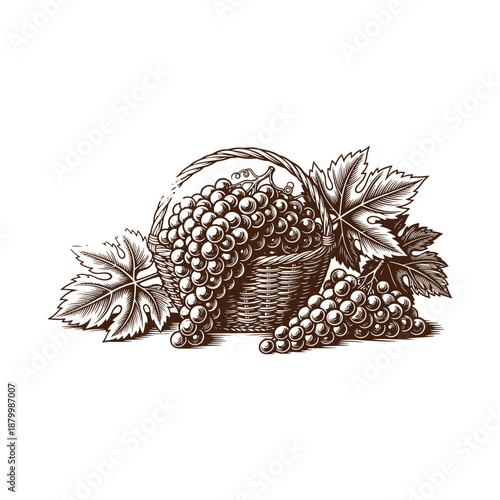 Freshly harvested grapes in a wicker basket