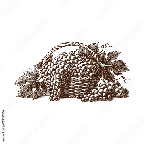 Freshly harvested grapes in a wicker basket