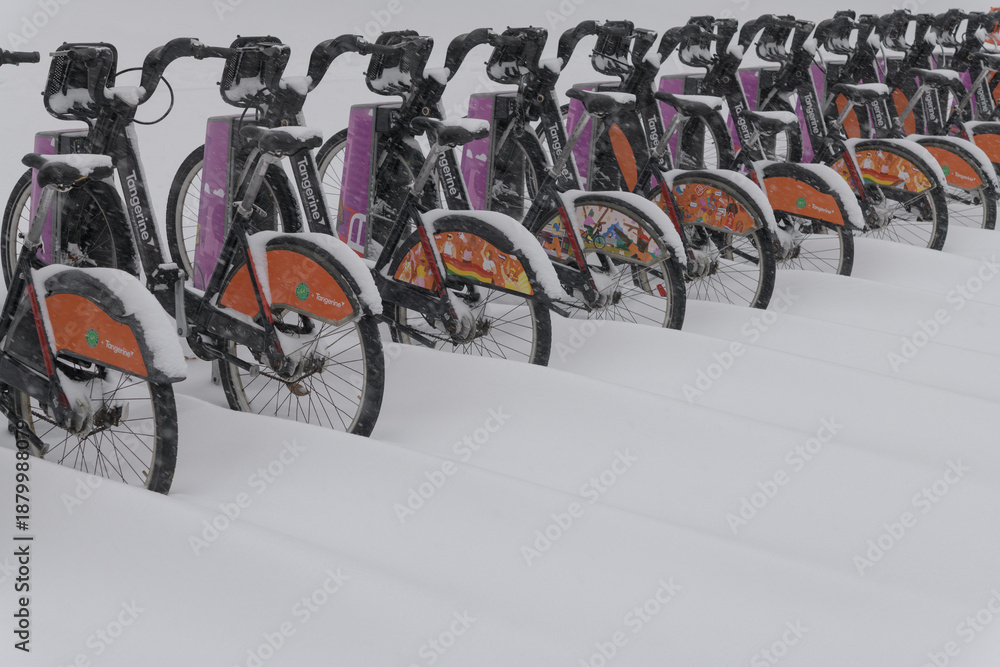Naklejka premium rental bikes during a snow storm on 2026-01-15 in Toronto