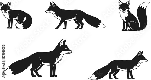 Stylized black and white fox illustrations in various poses including sitting, standing, and walking on white background
