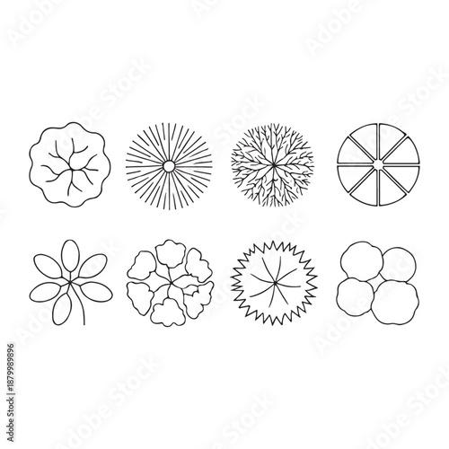 CAD Trees Top View Set – Landscape Design and Architectural Elements