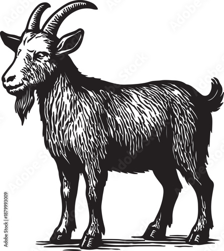 goat vector 