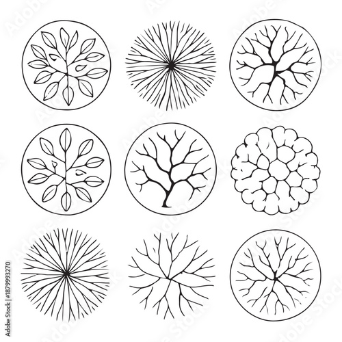 CAD Trees Top View Set – Landscape Design and Architectural Elements