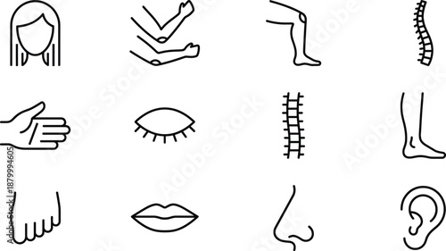 Black And White Vector Icon Set Of Human Anatomy Featuring Body Parts Like Eyes Ears Nose Lips Spine Legs Arms Hands And Feet