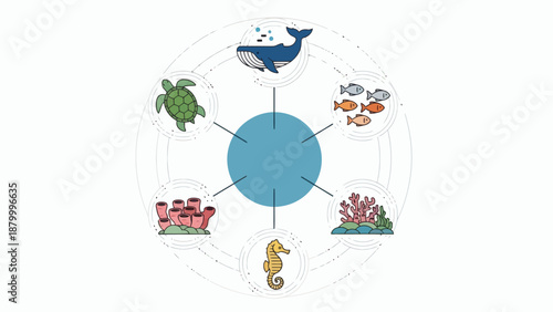 Ocean Life Ecosystem Diagram.