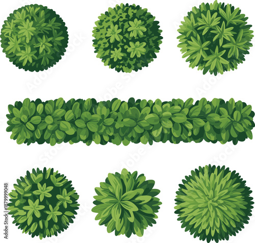 Top view green bushes set, decorative garden shrubs collection, round hedge plants, landscape design elements, natural foliage illustration, flat vector style