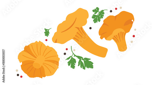 Chanterelle mushrooms with fresh parsley and peppercorns on transparent background illustration