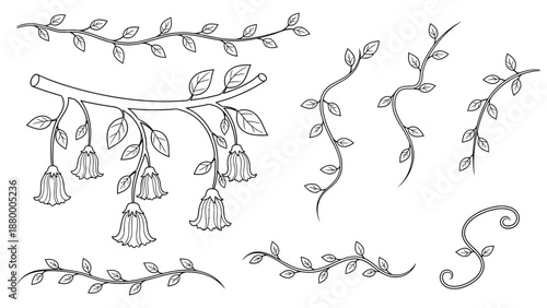 Delicate Hanging Bell Flowers And Vines—Line Art Illustration For Decoration And Nature Theme