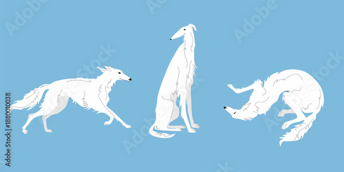 White Russian Borzoi dog vector illustration