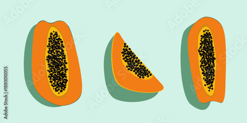 Vector illustration of juicy papaya