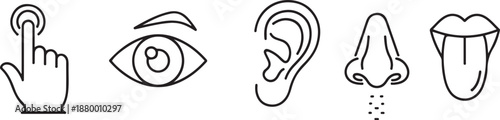 Illustrations of human senses: touch, sight, hearing, smell, and taste