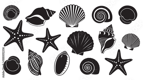 Black and white seashell and starfish collection