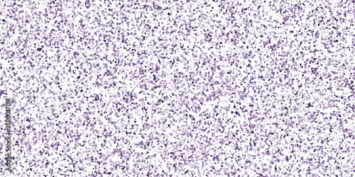 Abstract Purple granite terrazzo floor seamless pattern. black for bathroom or kitchen countertop. stone pattern old surface marble for background.	