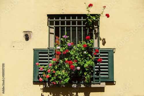flowerbox on the outside of a building in Firenze Italia