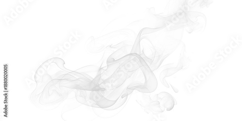 Mysterious white smoke gracefully dancing ethereal wisps flowing across a deep black void Captivating abstract vapor