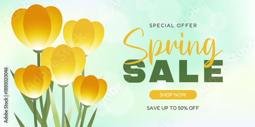 Spring Sale Banner with Yellow Crocuses