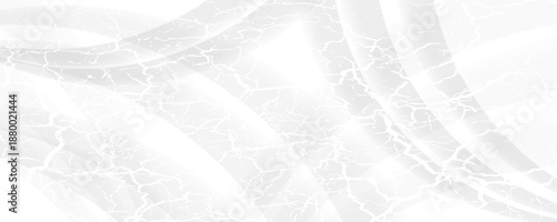 Gray color and white color and black color background abstract art vector