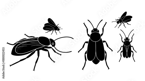 Black Beetles and Flies Silhouette Illustration.