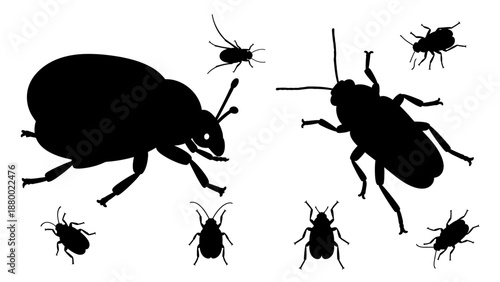 Black Silhouette Beetles and Insects Group.