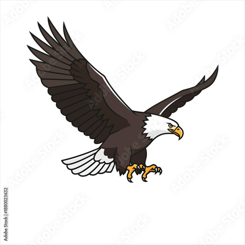 Bald eagle soaring in the sky