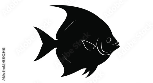 A striking black angelfish depiction showcasing its distinctive form and elegant fins against a plain white background silhouette high quality professional