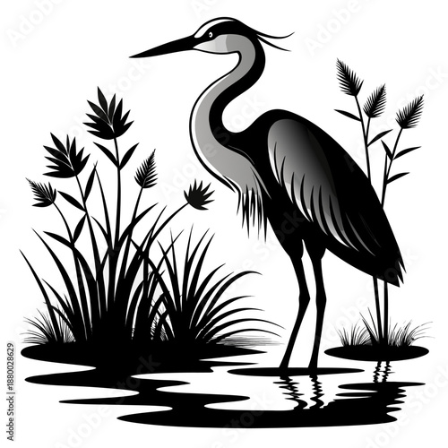 Heron standing in water with reeds in monochrome silhouette style for nature illustration