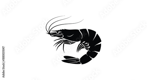 a detailed illustration of a shrimp s form showcasing its segmented body and curved tail presented as a striking silhouette high quality