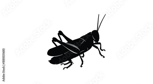 A striking black grasshopper form is presented against a white background showcasing its detailed anatomy in a captivating silhouette high quality