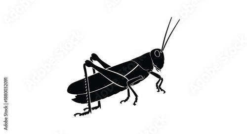 A striking black depiction of a grasshopper in a detailed artistic style presents a minimalistic form silhouette high quality professional detailed