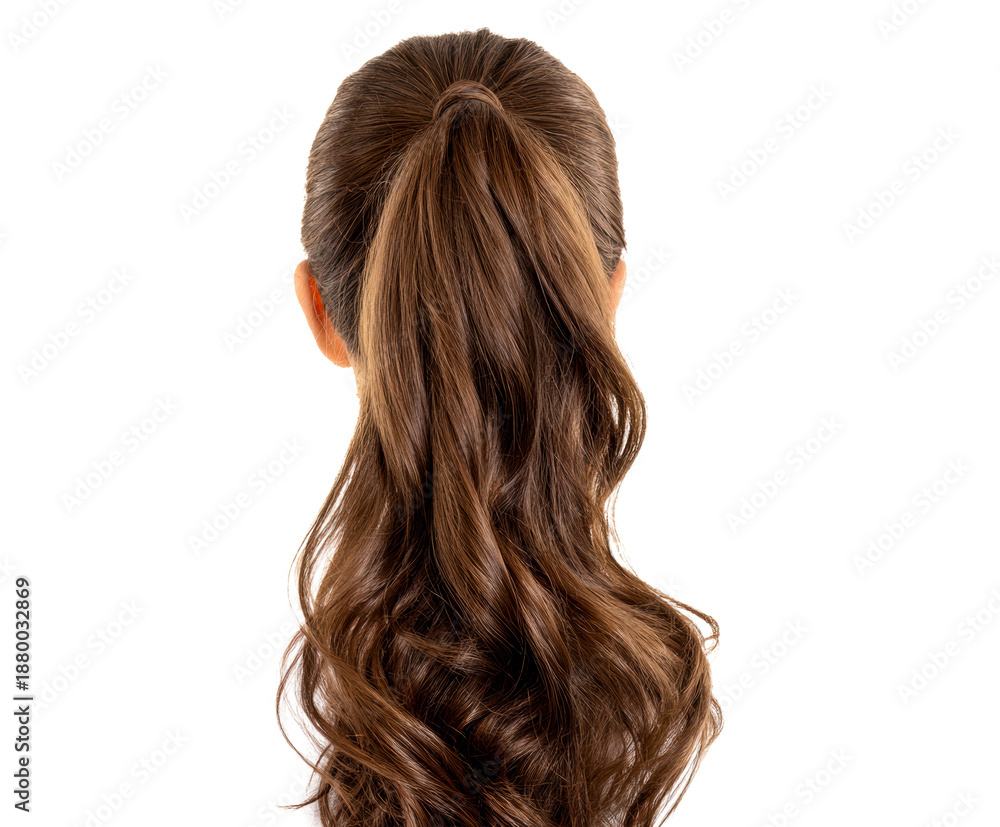Obraz premium Woman's long brown wavy hair styled in a beautiful high ponytail, showcasing healthy, shiny, and voluminous curls from a rear view perspective