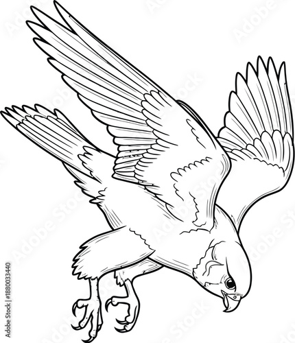 Adobe Illustrator Artwork